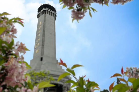 1758768277191569.png image.png