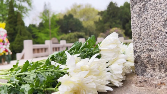 1758768334408179.png image.png